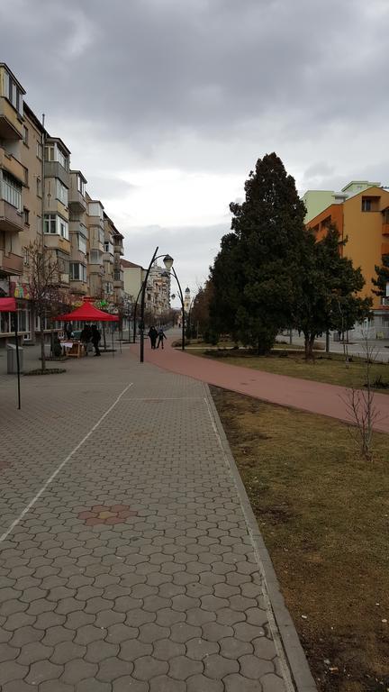 La Garson Apartment Alba Iulia Ngoại thất bức ảnh